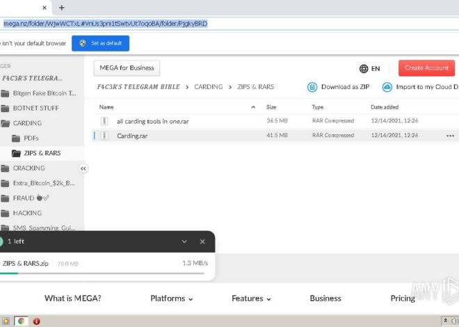 Mega Nz/folder/jqvvhyjb: The Complete Guide to Secure File Sharing and Storage