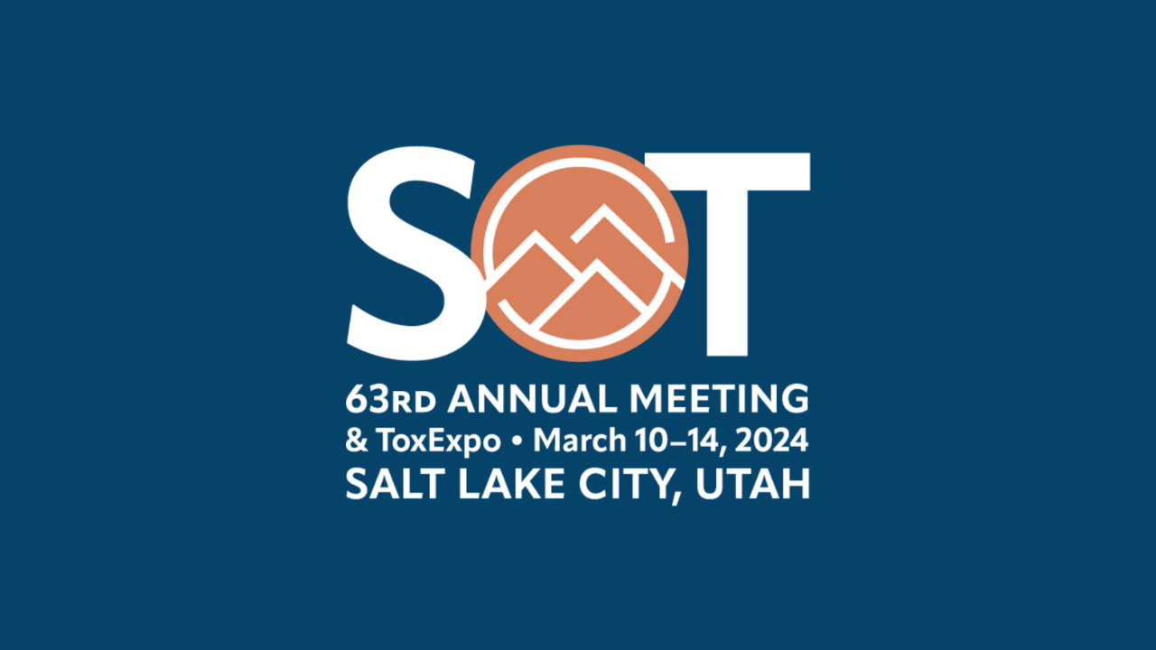 SOT WE: What It Means, Why People Search It, and How It Became a Trending Phrase