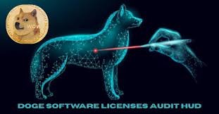 Doge Software Licenses Audit HUD: A Complete Expert Guide You Didn’t Know You Needed