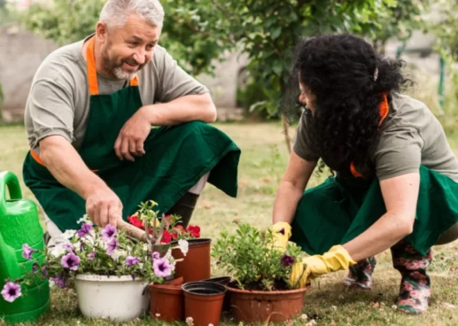 Garden Guide Homenumental: Your Complete Guide to Building an Inspiring Home Garden