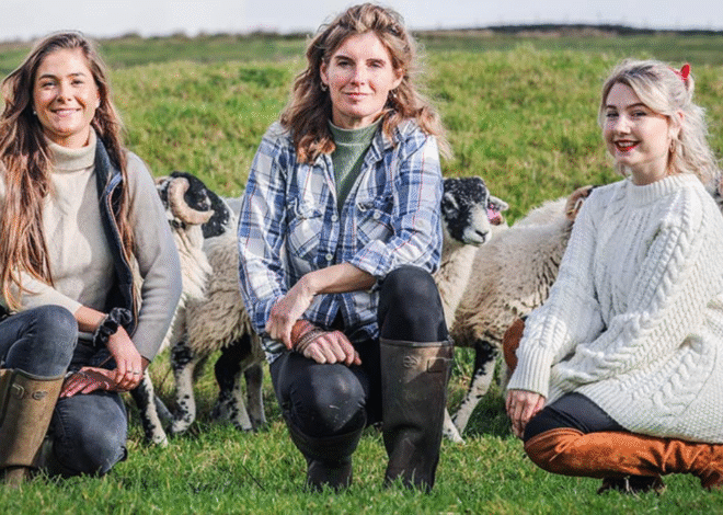 Amanda Owen: Life, Career & Story of the Yorkshire Shepherdess