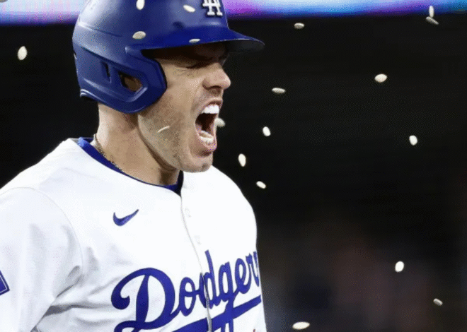 What Is Chelsea Dodgers? Full Guide and Cultural Insight