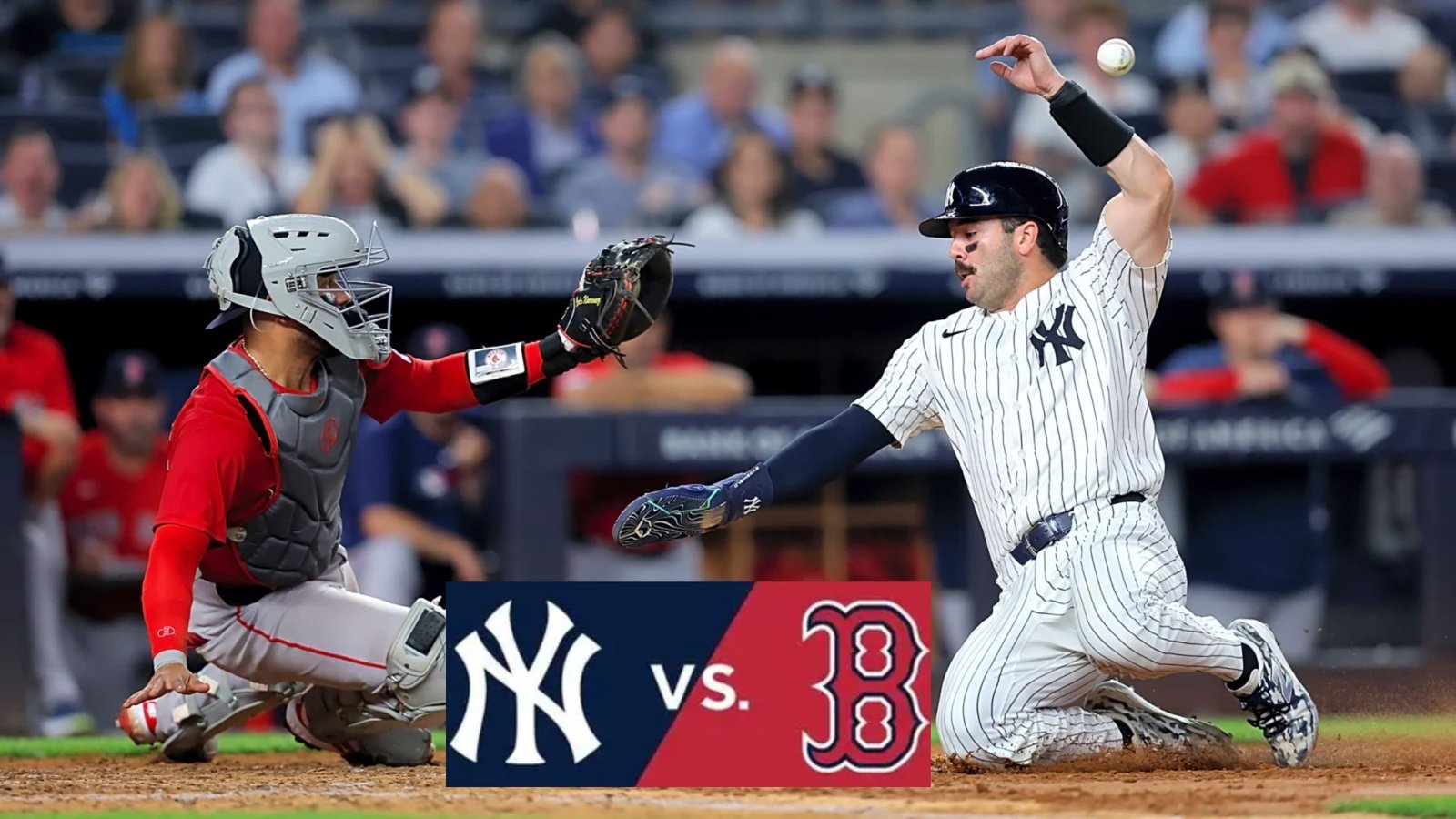 Reallıvecams: A Deep, Practical Look at the Platform, the Industry, and Online Safety