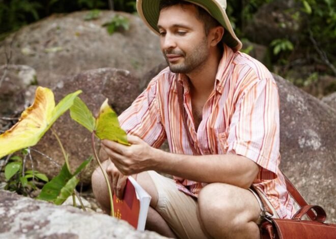 Brandi Loge: A Closer Look at the Name, the Story, and the Public Curiosity Around It