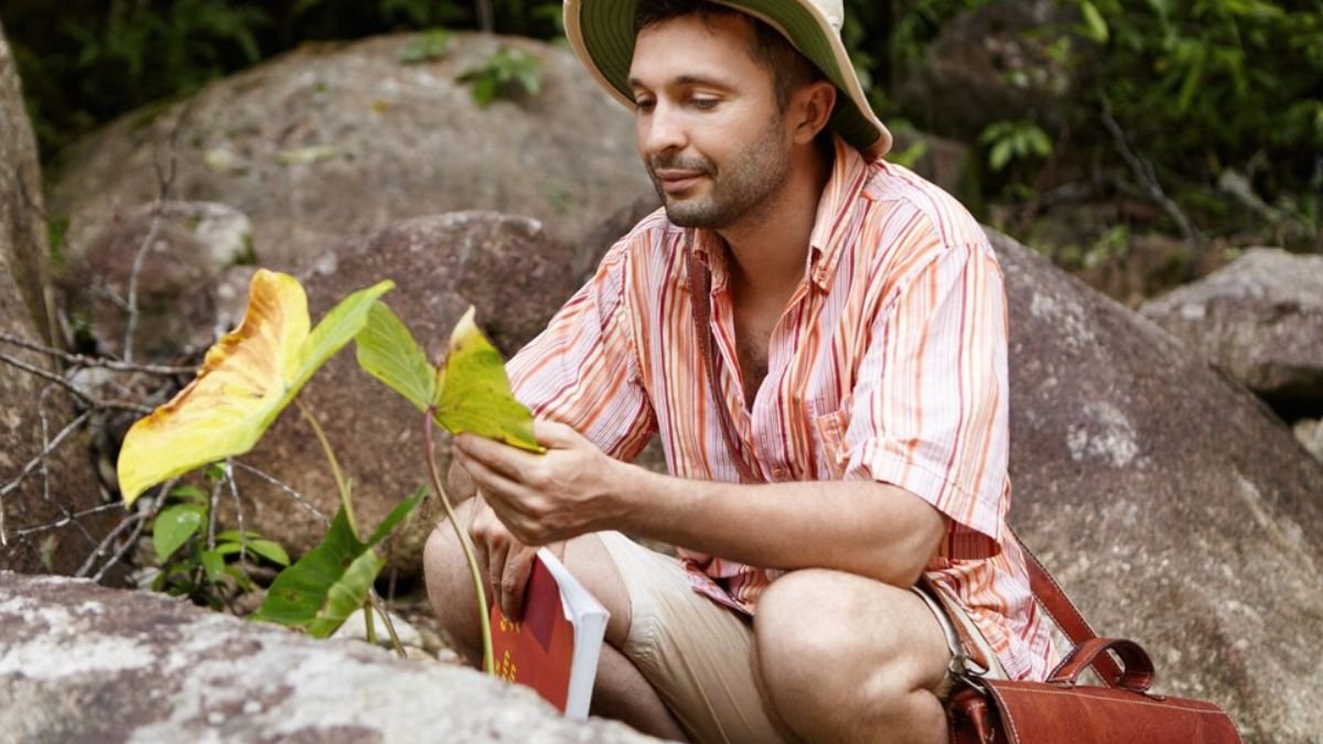 Brandi Loge: A Closer Look at the Name, the Story, and the Public Curiosity Around It