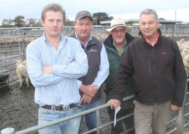 Bernie Bourke: A Deep Dive into His Life, Career, and Cultural Impact