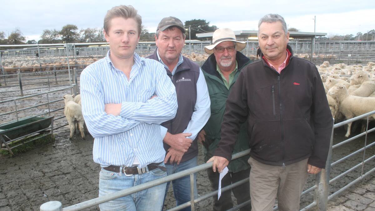 Bernie Bourke: A Deep Dive into His Life, Career, and Cultural Impact