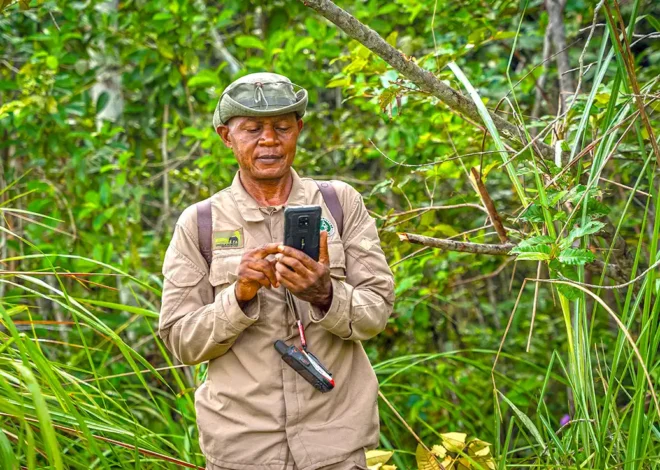 Tracqueur: Understanding the Meaning, Uses, and Impact of a Modern Tracking Concept