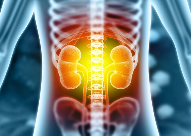 Dayalases: A Complete Guide to Understanding Its Meaning, Uses, and Importance