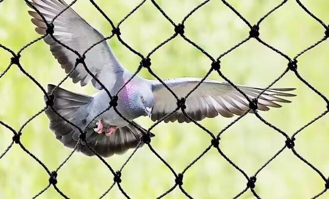 How Pigeon Net Installation in Dubai Protects Your Balcony from Birds