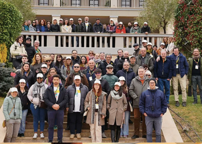 Centro Politécnico Superior: A Complete Guide to Innovation, Education, and Academic Excellence