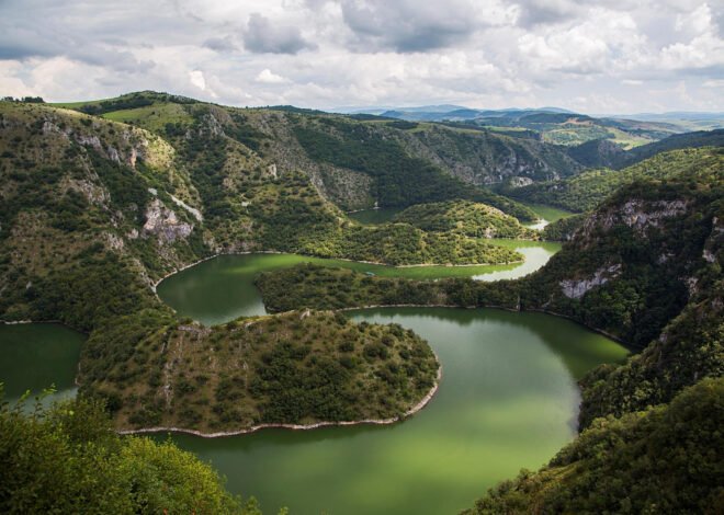 Sirbserbica: The Complete Expert Guide You Didn’t Know You Needed