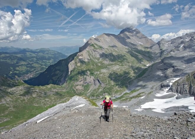 Ottans: A Deep Dive Into Meaning, Origins, Uses, and Modern Relevance