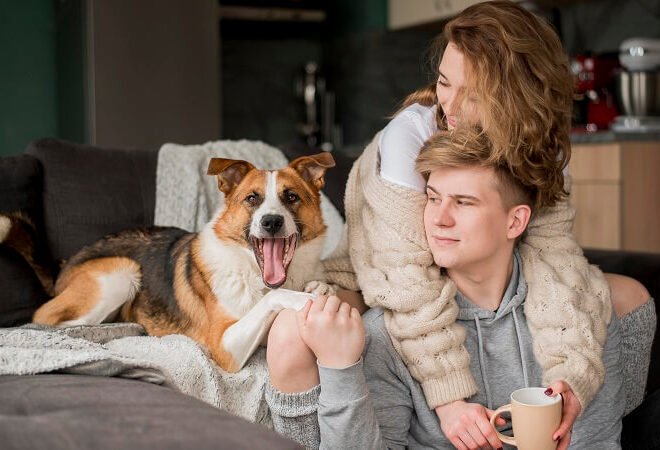 News Lovelolablog: A Deep Dive Into the Platform Shaping Modern Digital Storytelling