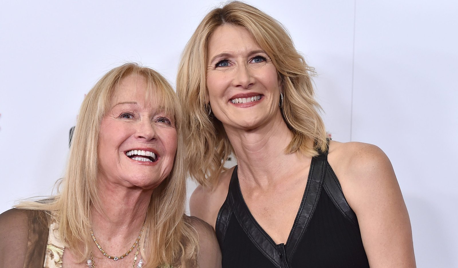 Diane Elizabeth Dern: A Closer Look at Her Life, Family Connections, and Lasting Influence