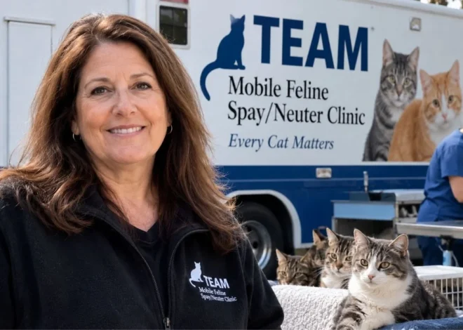 Donna Sicuranza: Exploring Her Background, Personal Life, and Public Interest